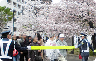 造幣局桜の通り抜け